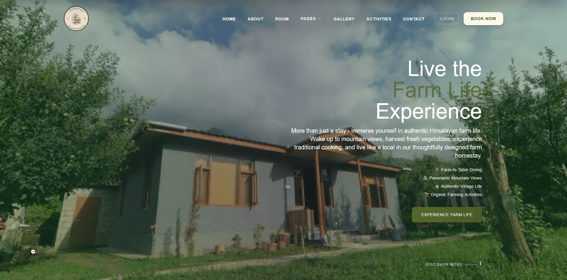 Naggar Studio website preview